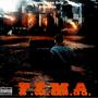 F.E.M.A. (Explicit)