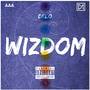 Wizdom