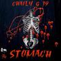 Stomach (Explicit)