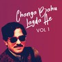 Changa Bahu Lagda Ae, Vol. 1