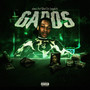 GABOS (Explicit)