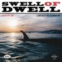 Swell of Dwell