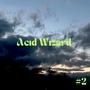 Acid Wizard 2 (A Collection Of Experimental Guitar Pieces)