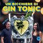 Un bicchiere di GIN TONIC