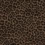 LEOPARD (Explicit)