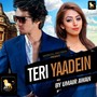 Teri Yaadeinn