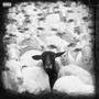 Black Sheep (Explicit)