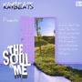 The soul in me