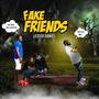 Fake Friends