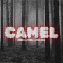 CAMEL (feat. $hinji & TrickyRick) [Explicit]