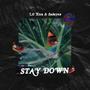 Stay Down