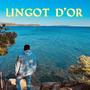 Lingot d'or