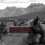 Gully Project (Explicit)