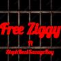 FREE ZIGGY (feat. StephRealSavageBoy) [lazermade] [Explicit]