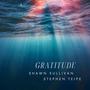 Gratitude (feat. Shawn Sullivan)