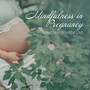 Mindfulness in Pregnancy: Breathe in Breathe Out - Hypnobirthing, Prenatal Meditation, Reduced Stress, Deep Relaxation Music