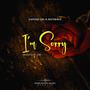 I'M Sorry (feat. Misterwiz)