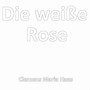 Die weiße Rose