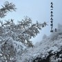 又是一年冬大雪埋了松