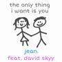 The Only Thing I Want is You (feat. David Skyy)