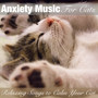 Anxiety Music for Cats: Relaxing Songs to Calm Your Cat