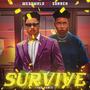 Survive (feat. Surrex) [Remix]