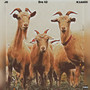 3 Headed Goat (Explicit)