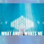 What Angel Wakes Me (From 