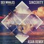 Sincerity (feat. Ranja) (ASAN Remix)