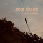 som du er (remix)