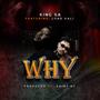 Why (feat. Lord Vali)