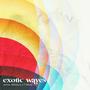 Exotic Waves (Explicit)