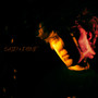 Said & Done (Explicit)