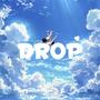 DROP (Explicit)