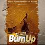 Burn Up (feat. Gyarison)