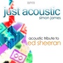 Acoustic Tribute to Ed Sheeran (Just Accoustic)