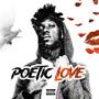 Poetic Love (Explicit)