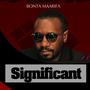 Significant (Explicit)