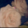 Amor (Explicit)