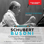 SCHUBERT, F.: Piano Transcriptions by Busoni (Complete) [Vincenzi]