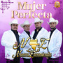 Mujer Perfecta