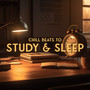 Chill Beats to Study & Sleep: Lofi Music To Concentrate