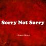 Sorry Not Sorry (Explicit)