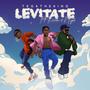 Levitate (feat. Niyod & Kenechi)