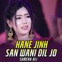 Hane Jinh San Wani Dil Jo