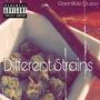 Different Strains (Explicit)