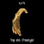 Trap **** (Freestyle) (prod. by AKERA) [Explicit]