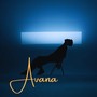 Avana