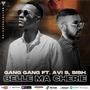 Belle Ma Cherie (feat. GangGang & Sish)