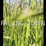 Falling Down